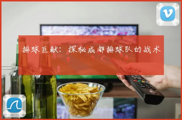 排球巨献：探秘成都排球队的战术
