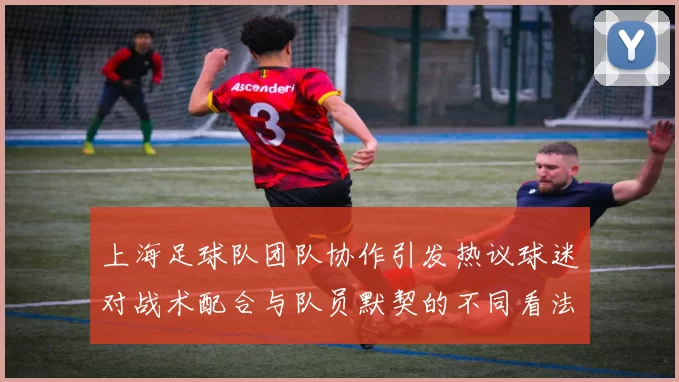 上海足球队团队协作引发热议球迷对战术配合与队员默契的不同看法