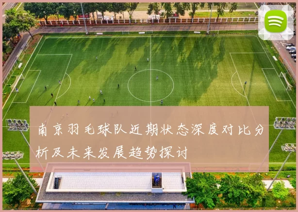 南京羽毛球队近期状态深度对比分析及未来发展趋势探讨